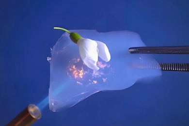 氣凝膠產(chǎn)品